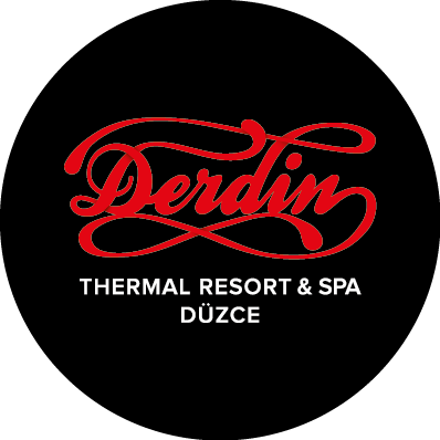 Derdin_Thermal_logo